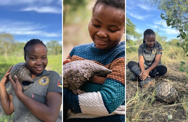 A woman interacts with a pangolin at a pangolin rehibilitation centre in Gorongosa National Park, Mozambique