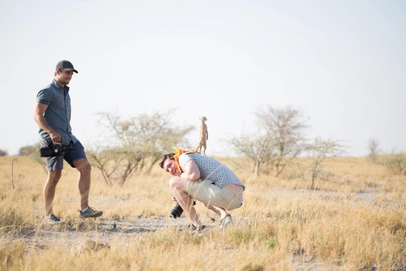 A meerkat sentry on a member of media team