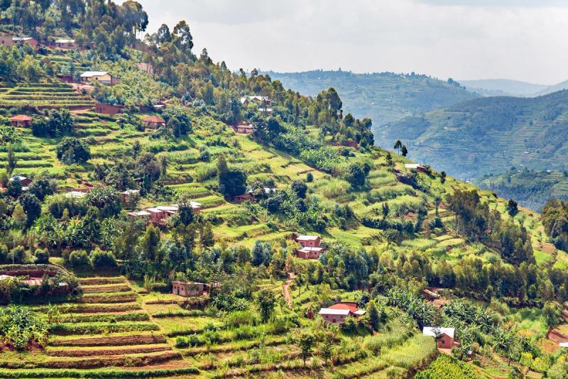 Muvumba River Valley covered with terraced fields and dotted with house