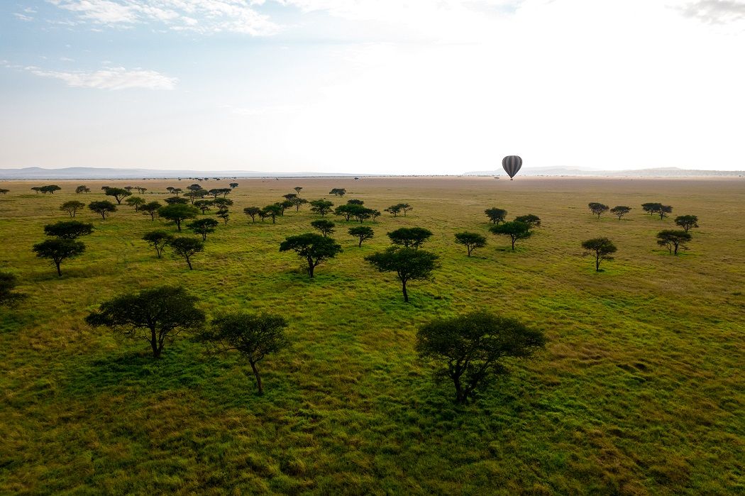 Explore a África Oriental em 2022