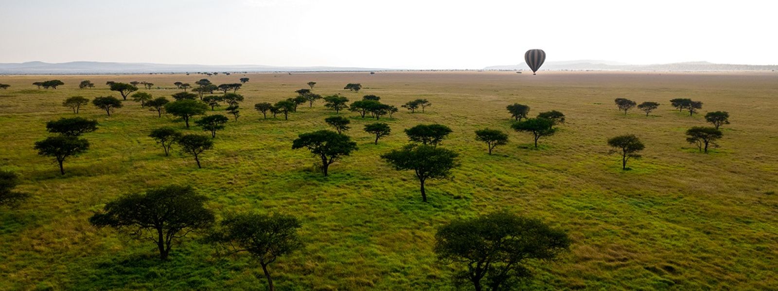 Explore a África Oriental em 2022