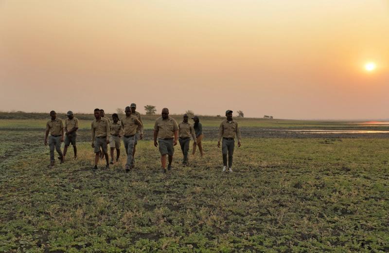 A group of uniformed rangers walk together across open grassland at sunset, embodying the impact in Gorongosa through presence, vigilance, and shared responsibility.