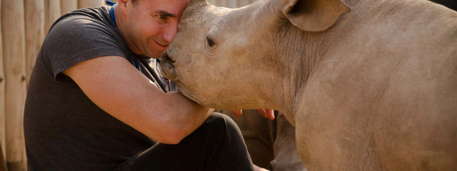 Be a Rhino Warrior and Help Save Africa’s Rhinos