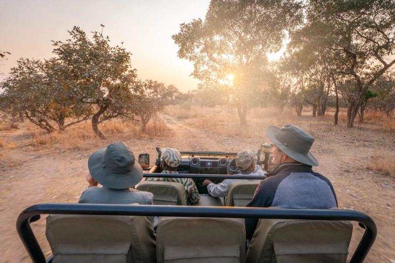 Día o noche, los safaris lo emocionará