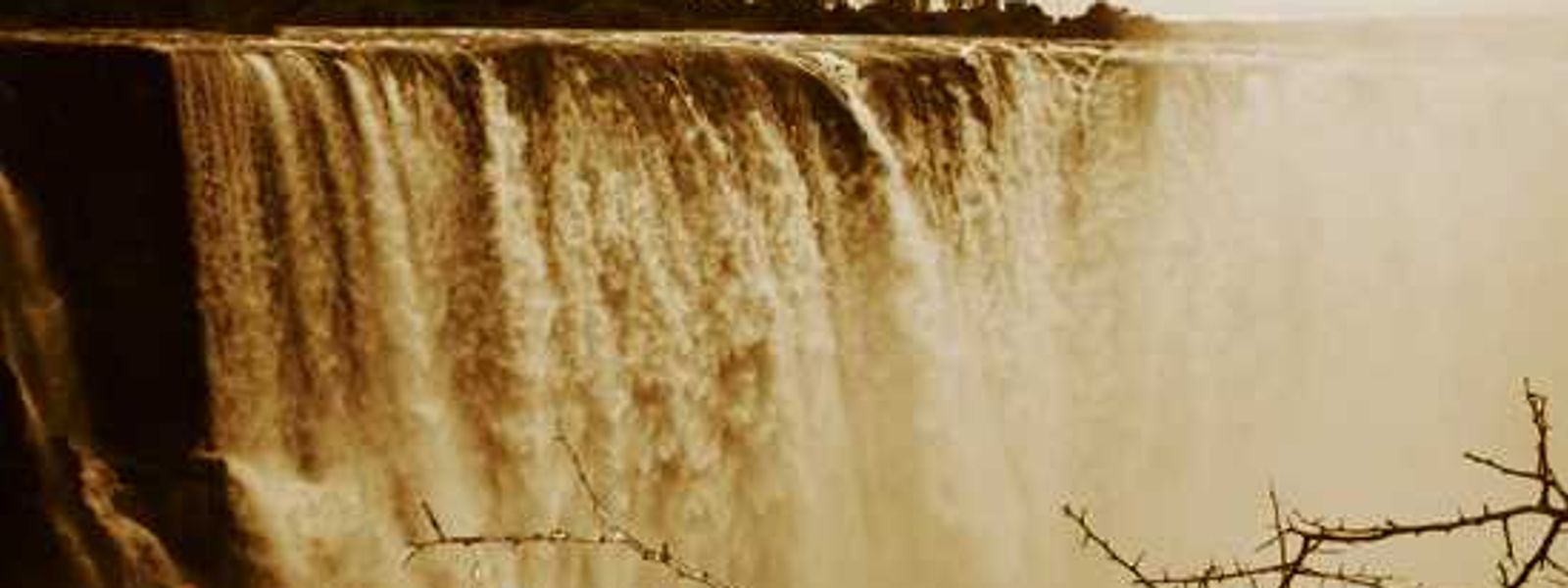 Behind the lens – Leigh-ann Combrink
