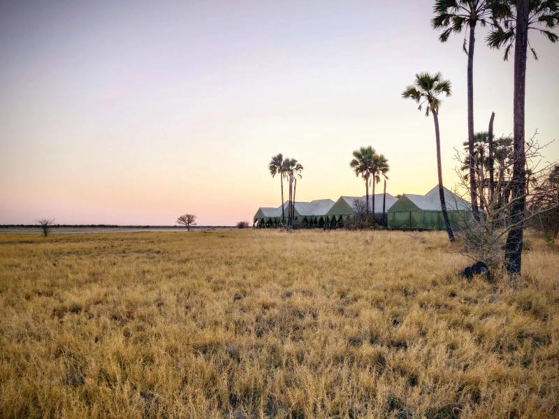 A tented safari camp sits among tall palms and dry grassland beneath a pastel dawn sky.