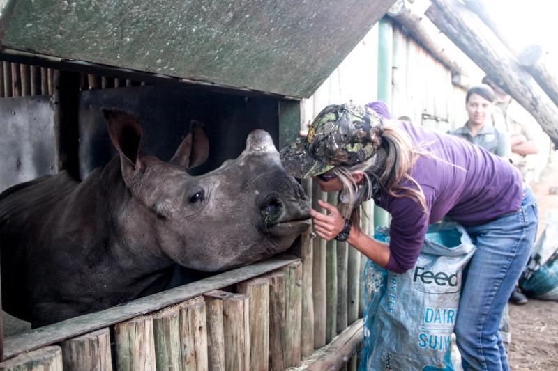 Petronel kisses a rhino
