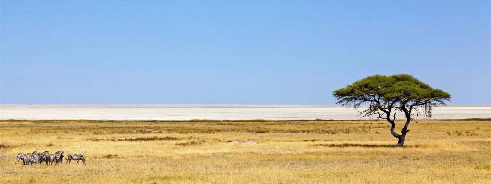 Meine Reise | Atemberaubendes Namibia