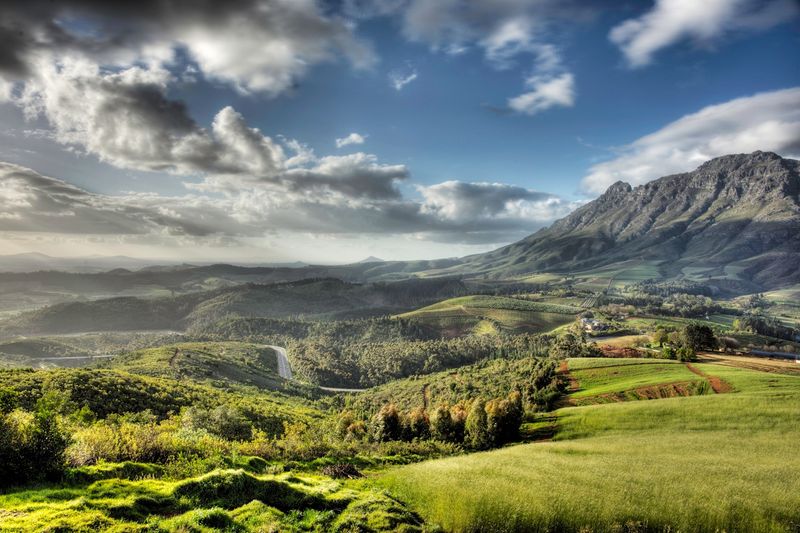 Vins d'Afrique du Sud | Stellenbosch