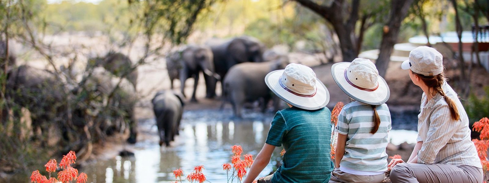 Wilderness Playground: A Family-Friendly Safari in Africa and What to Expect