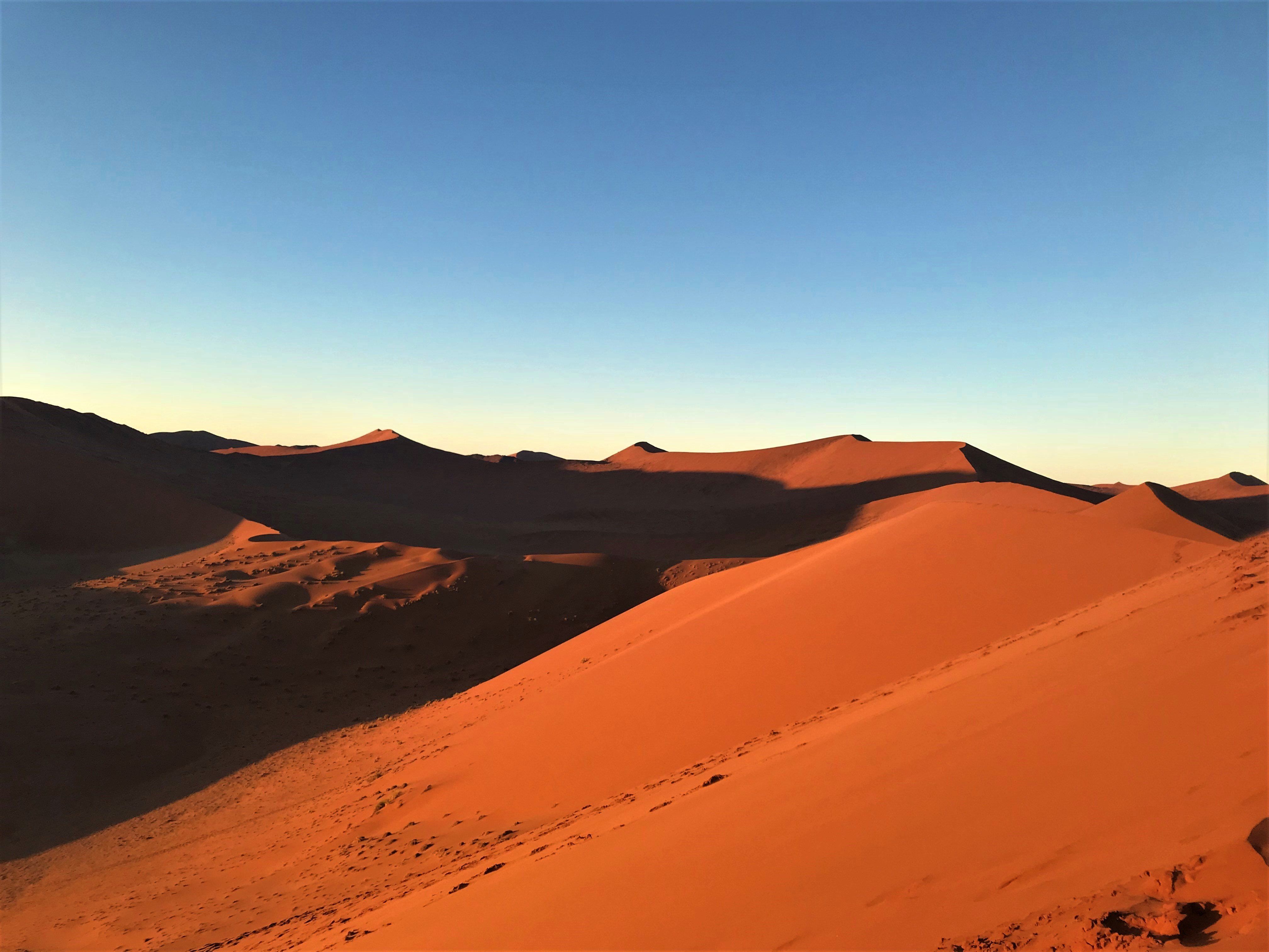 Que mettre dans sa voiture pour un road-trip en Namibie ?