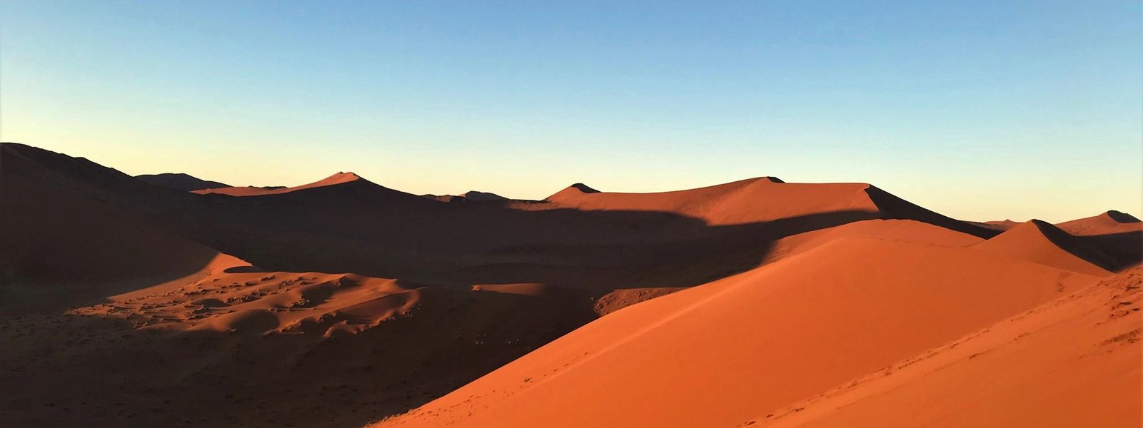 Que mettre dans sa voiture pour un road-trip en Namibie ?