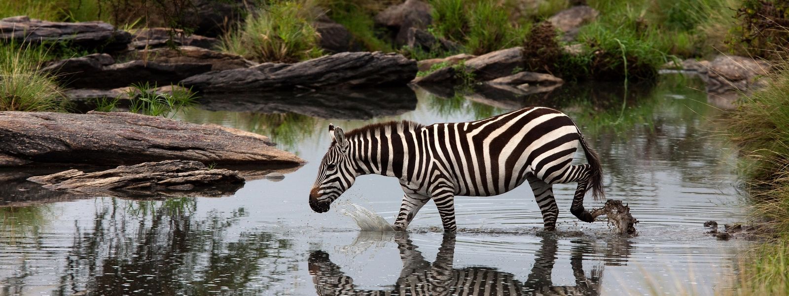 20 interessante Fakten über Afrika