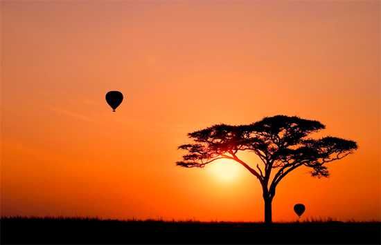Hot air balloons at sunrise in Seronera, Serengeti