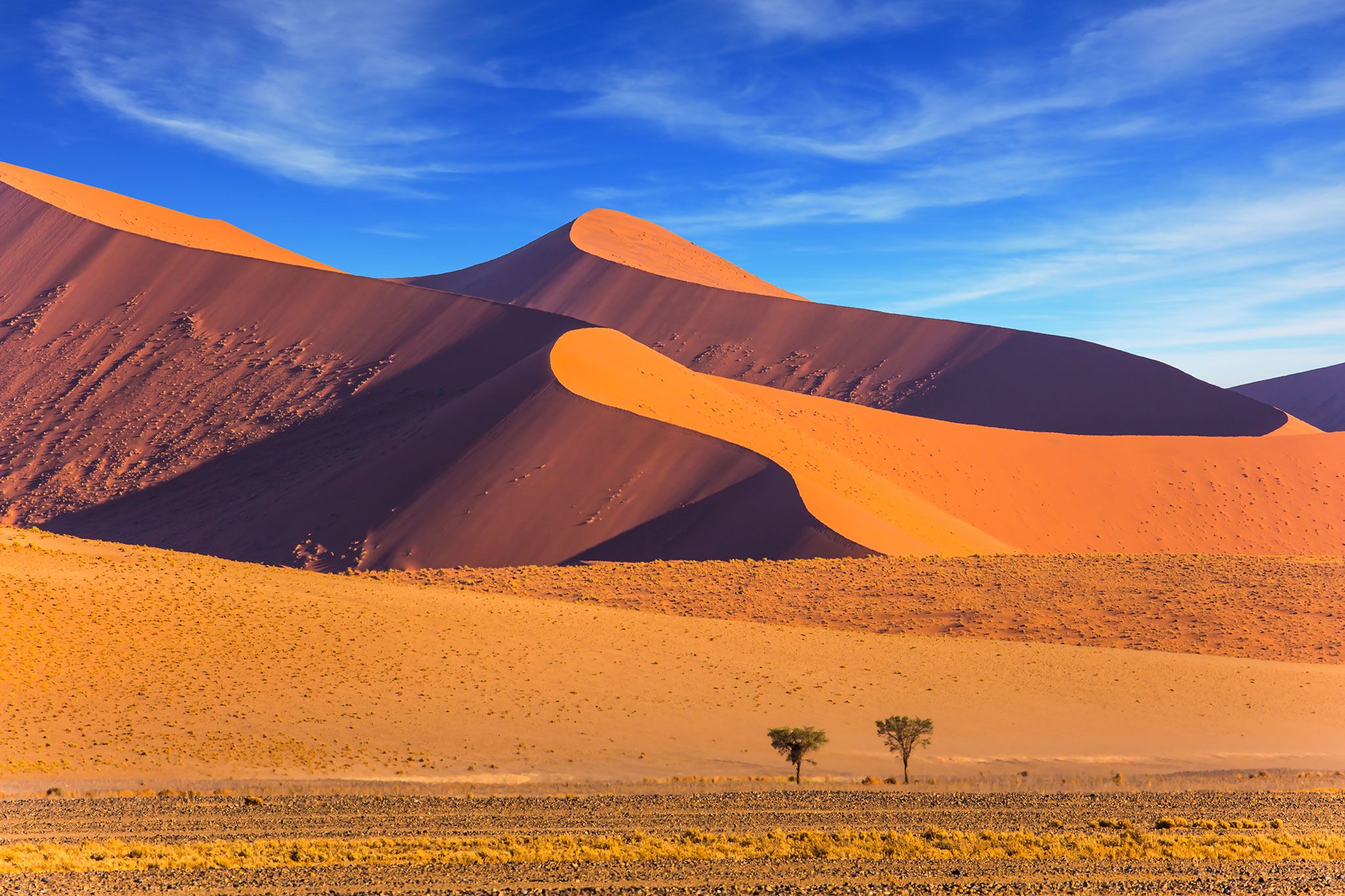 18 Photos That Will Make You Want to Visit Namibia
