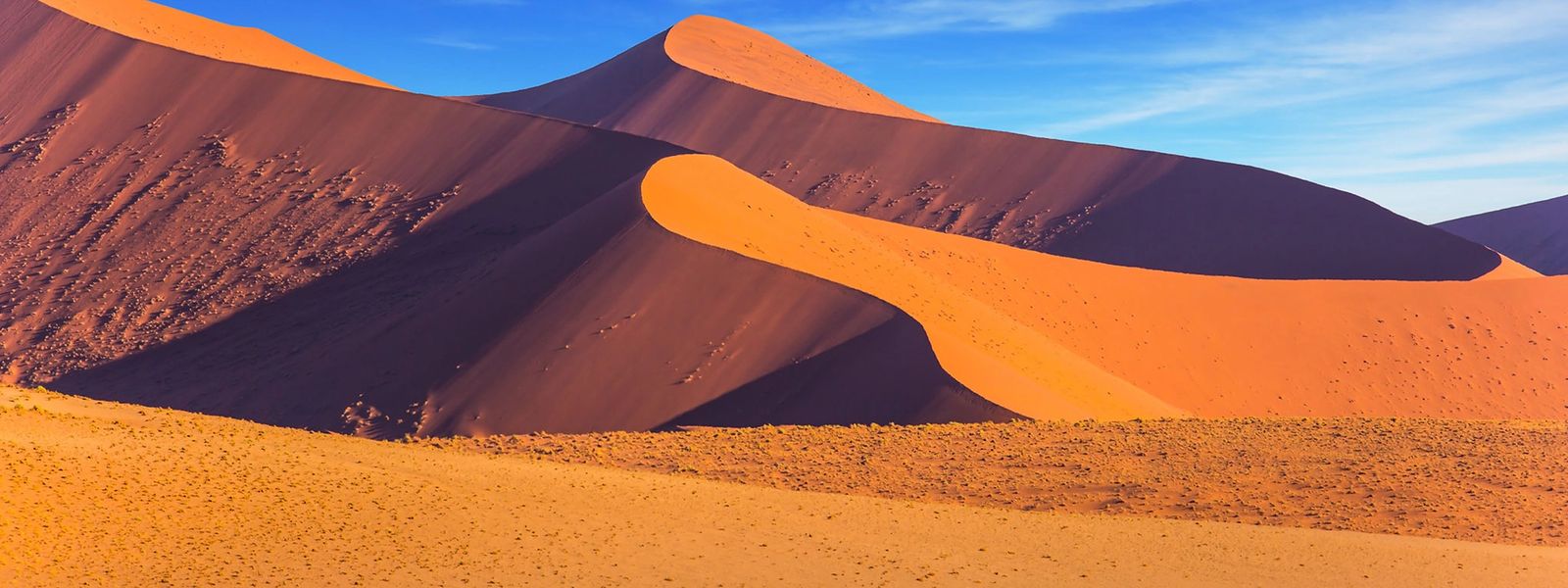 18 Photos That Will Make You Want to Visit Namibia