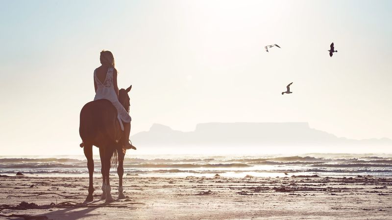 Horse riding on Cape Town's beach