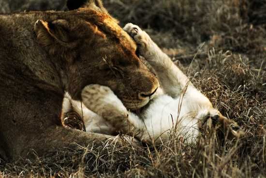 Behind the Lense - Leigh-ann Combrink