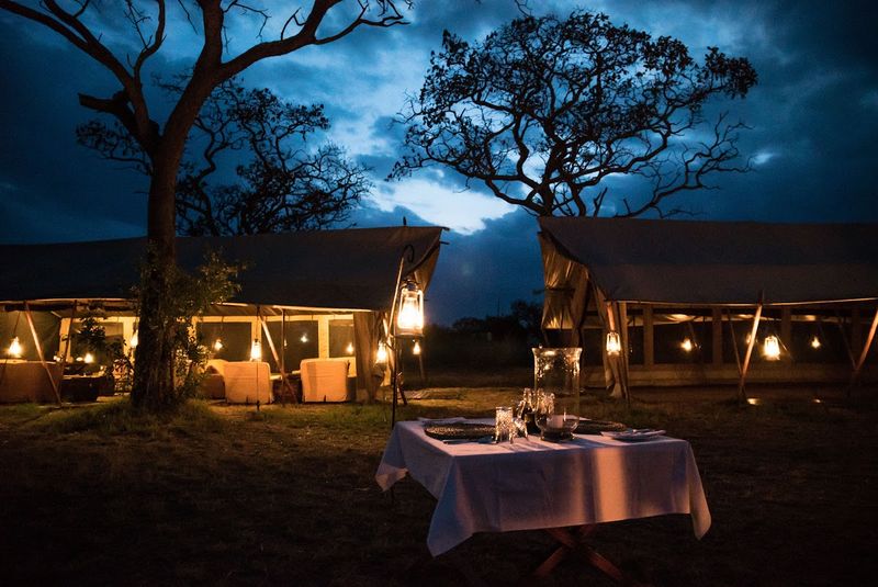 rhino africa's image of dining at serengeti under canvas