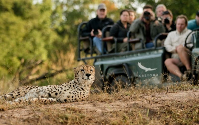 Découvrez une faune plus visible avant que l’eau ne monte et que la végétation ne s’épaississe