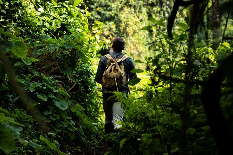S'aventurer dans les montagnes des Virunga