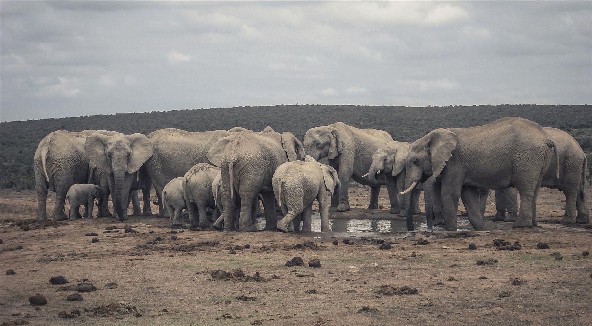The Most Visited Attractions in East Africa