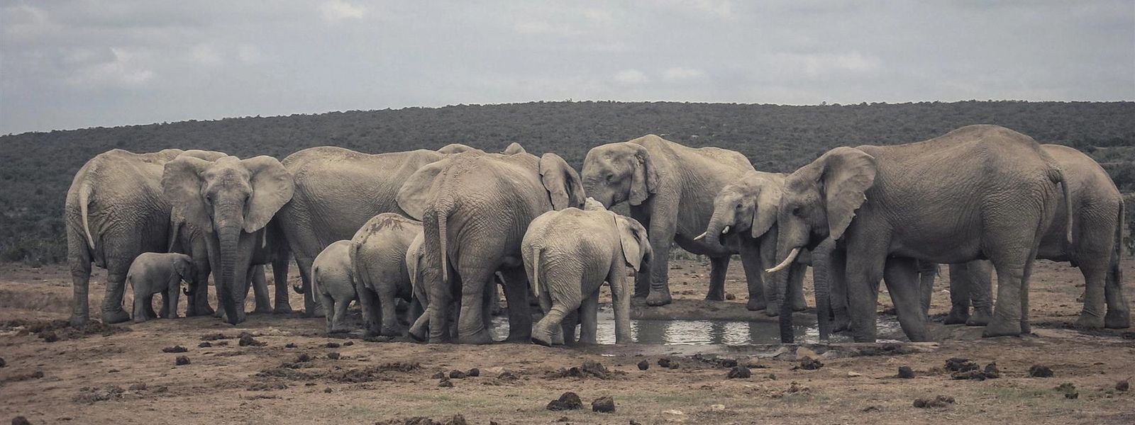 The Most Visited Attractions in East Africa