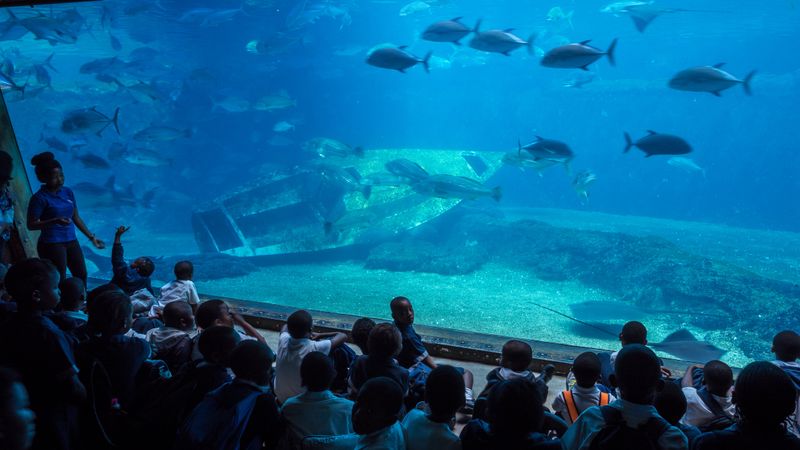uShaka Marine World in Durban