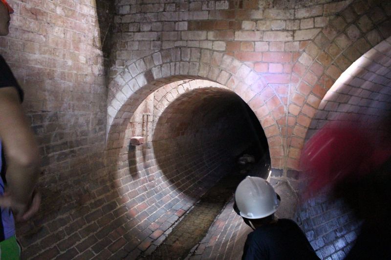 Watching out for permanent residents of the tunnels