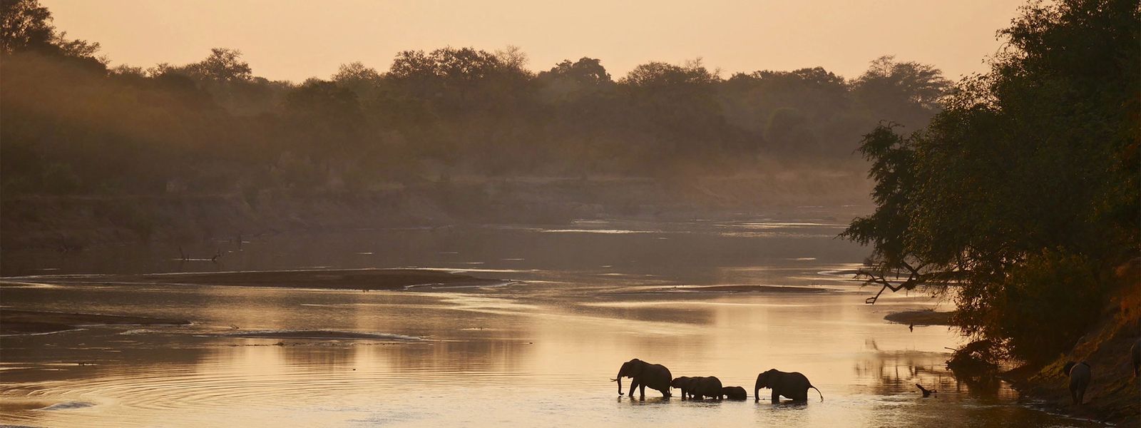 What Makes a Zambian Safari So Special?