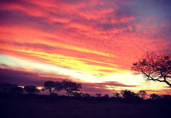 My Trip | No place like the African bush...