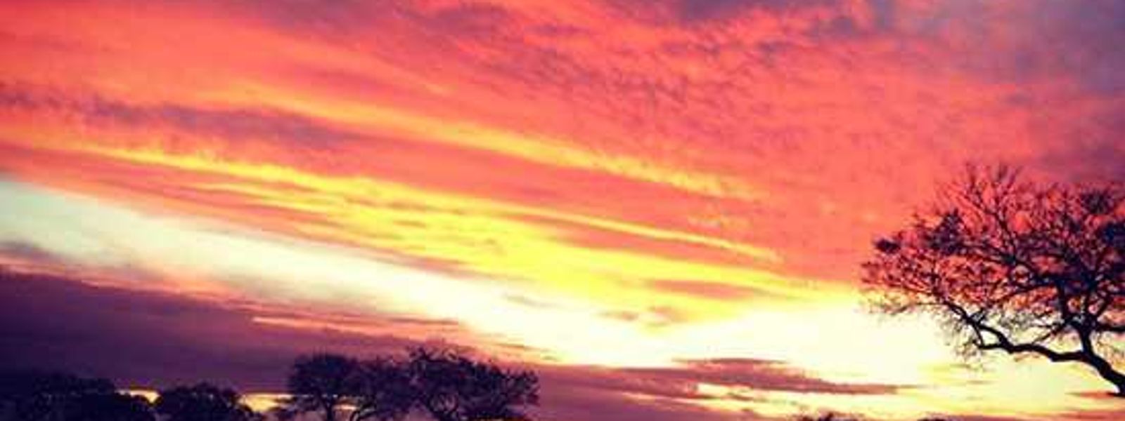 My Trip | No place like the African bush...