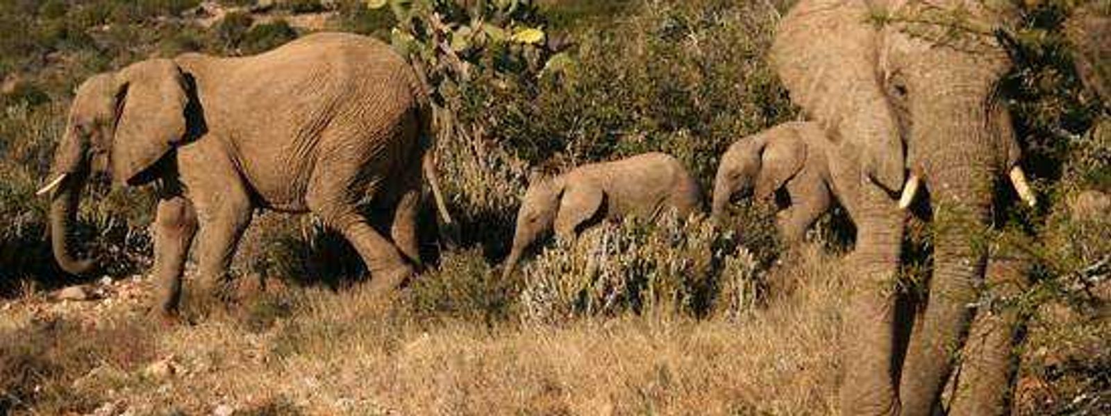 Discovering the Eastern Cape