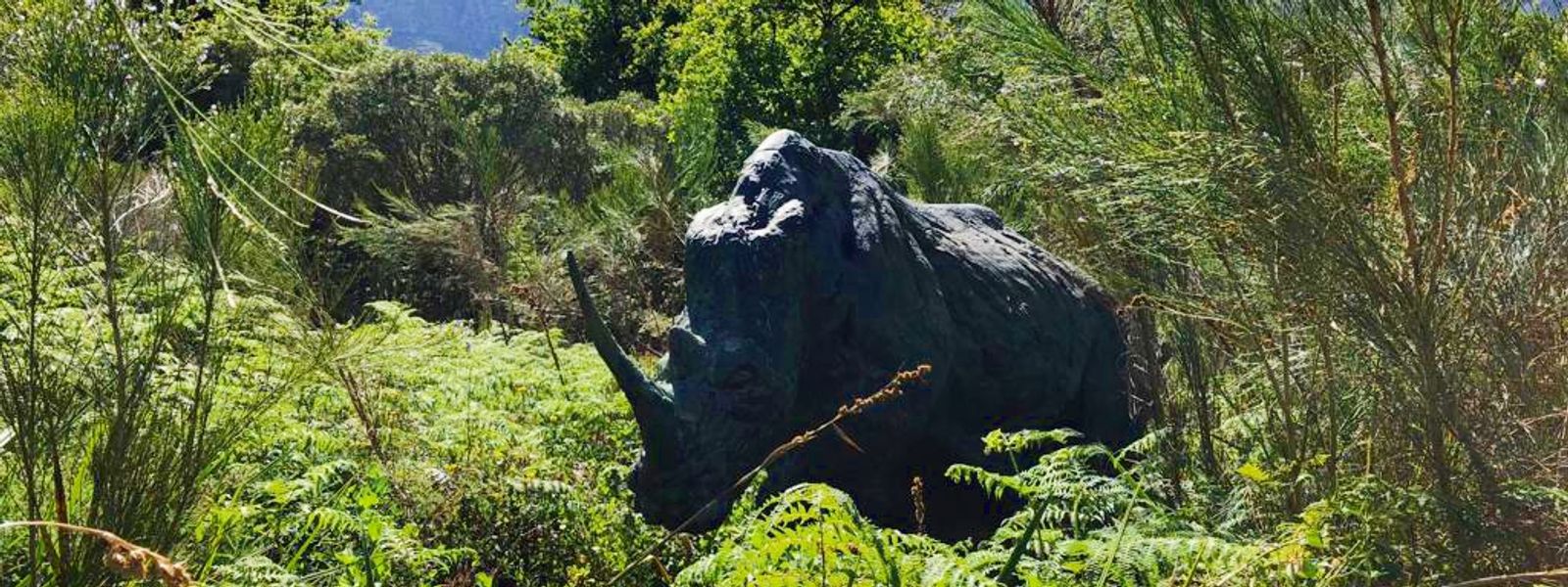Dylan Lewis Sculpture Garden | Stellenbosch