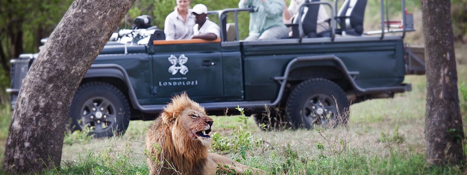 Die besten Safari-Aktivitäten im Krüger Nationalpark