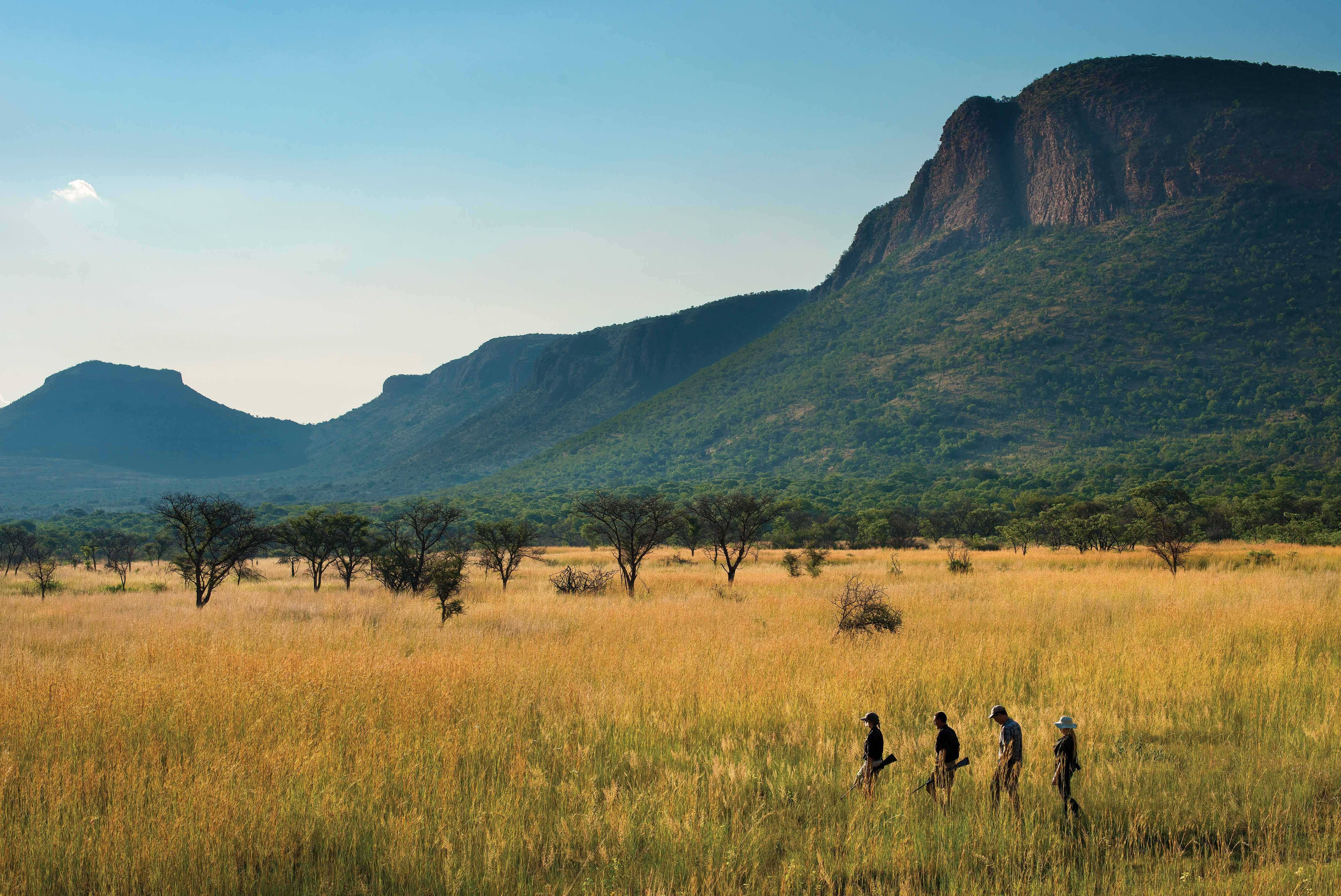 Into the Wild on the Marataba Bushman's Trail