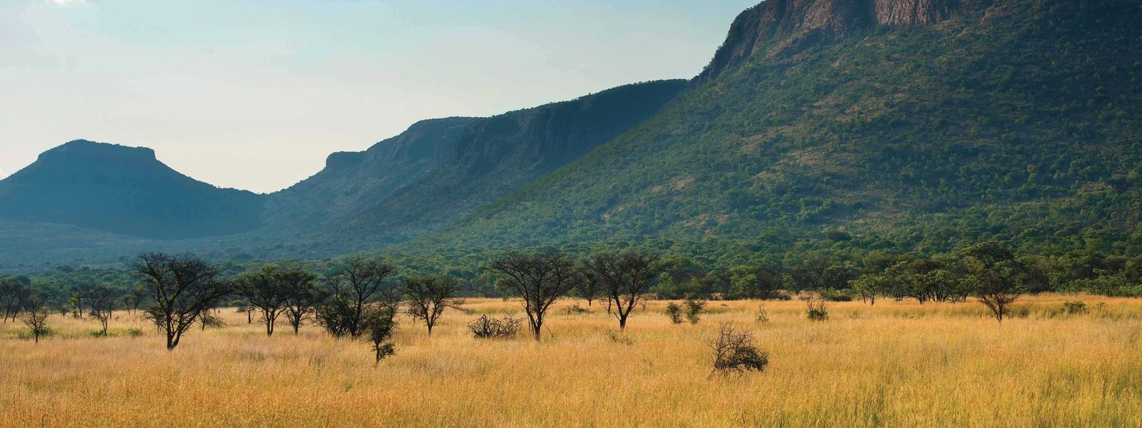 Into the Wild on the Marataba Bushman's Trail