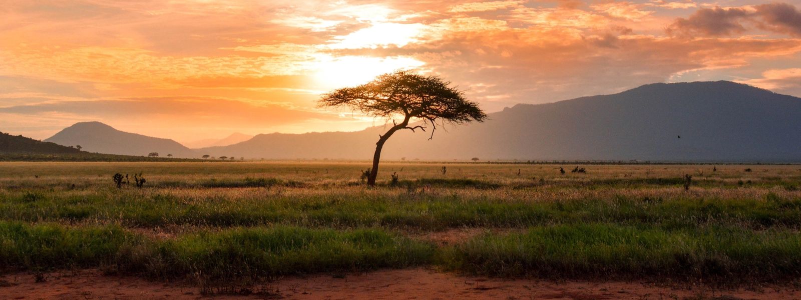 5 Razones para Visitar Sudáfrica en 2024