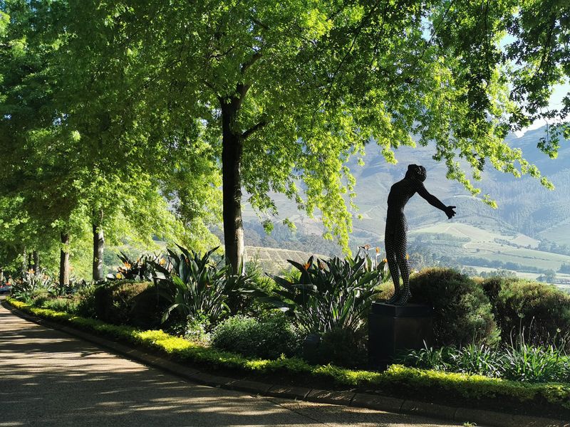 Delaire Graff gardens and sculptures in the Stellenbosch Winelands