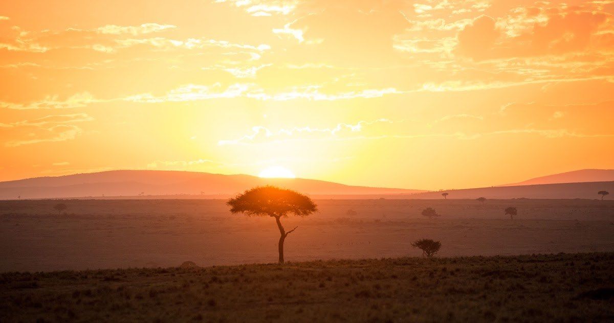 L'Afrique, Terre-mère de tous les Hommes