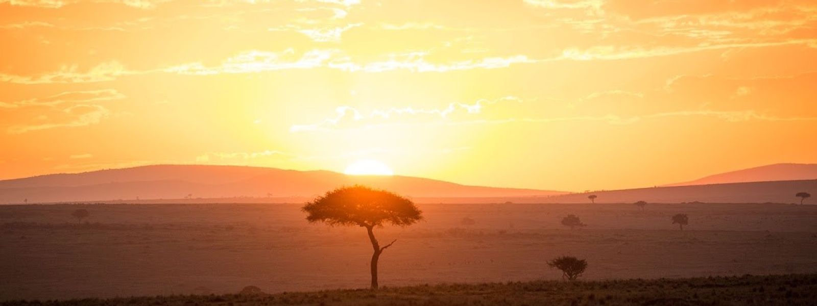 L'Afrique, Terre-mère de tous les Hommes