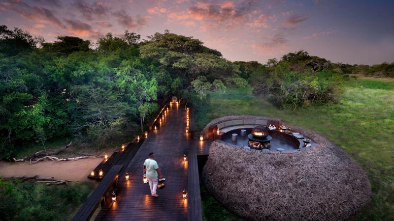 KwaZulu-Natal safari at Phinda Forest Lodge