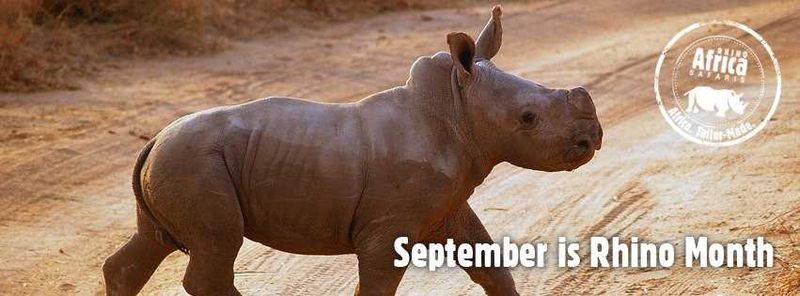 Rhino Month!
