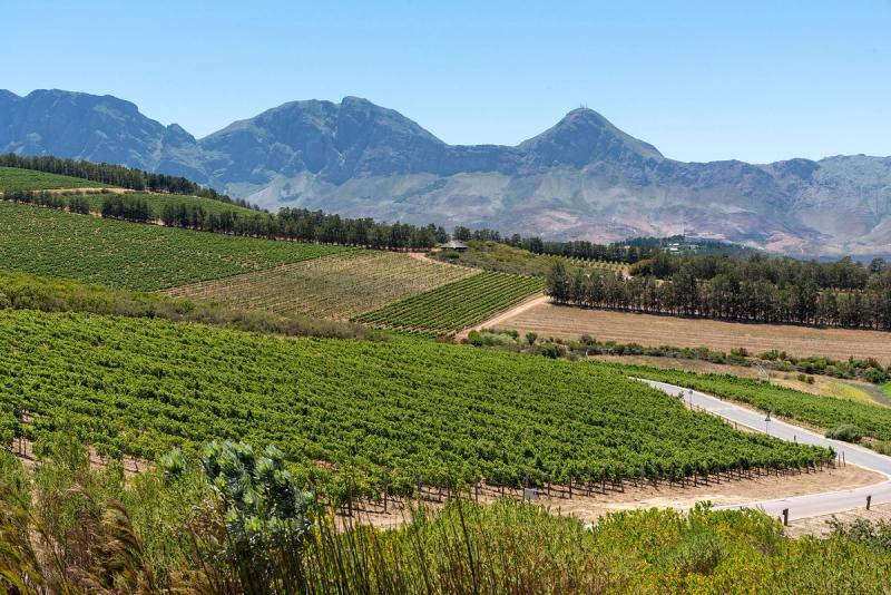 A Vinícola Waterkloof em Somerset West, Cabo Ocidental, África do Sul