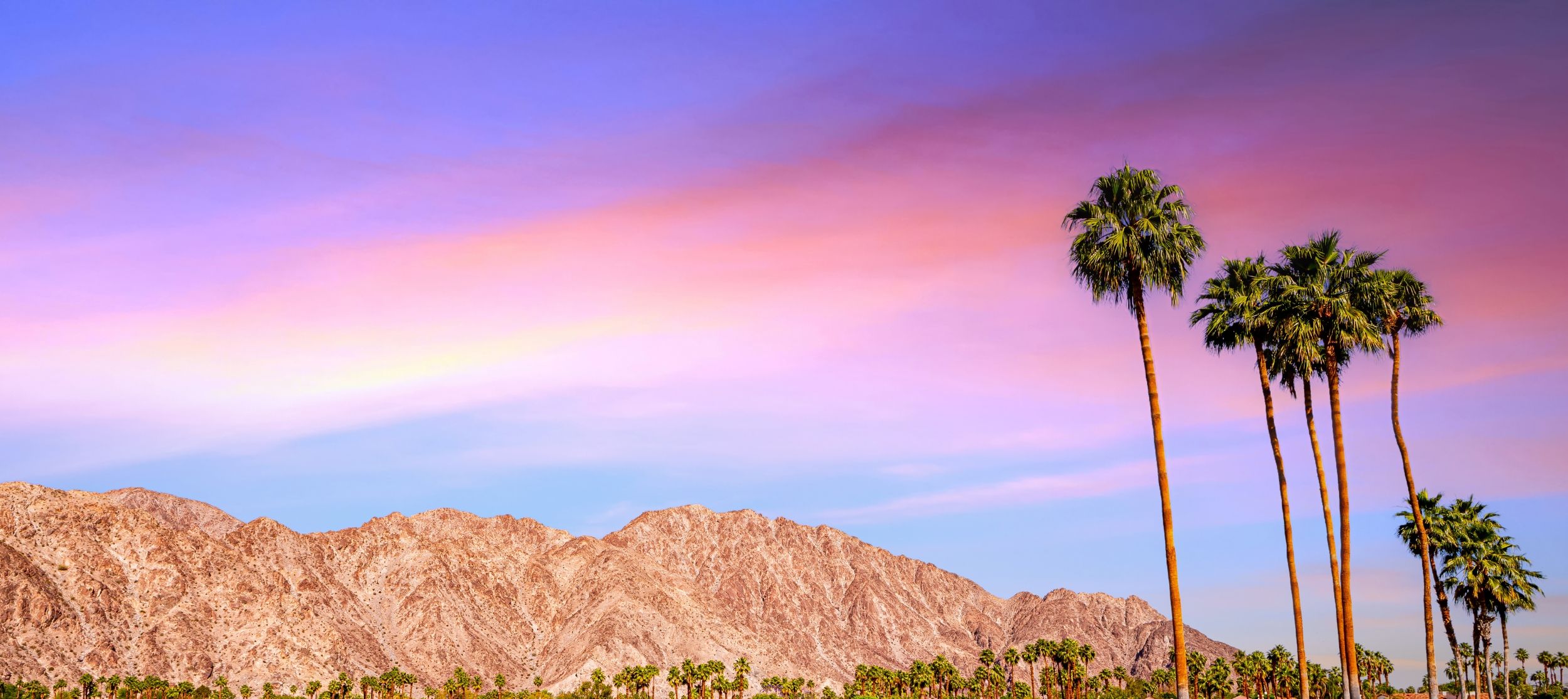 From the Desert With Pride: Rhino Africa at IGLTA Palm Springs