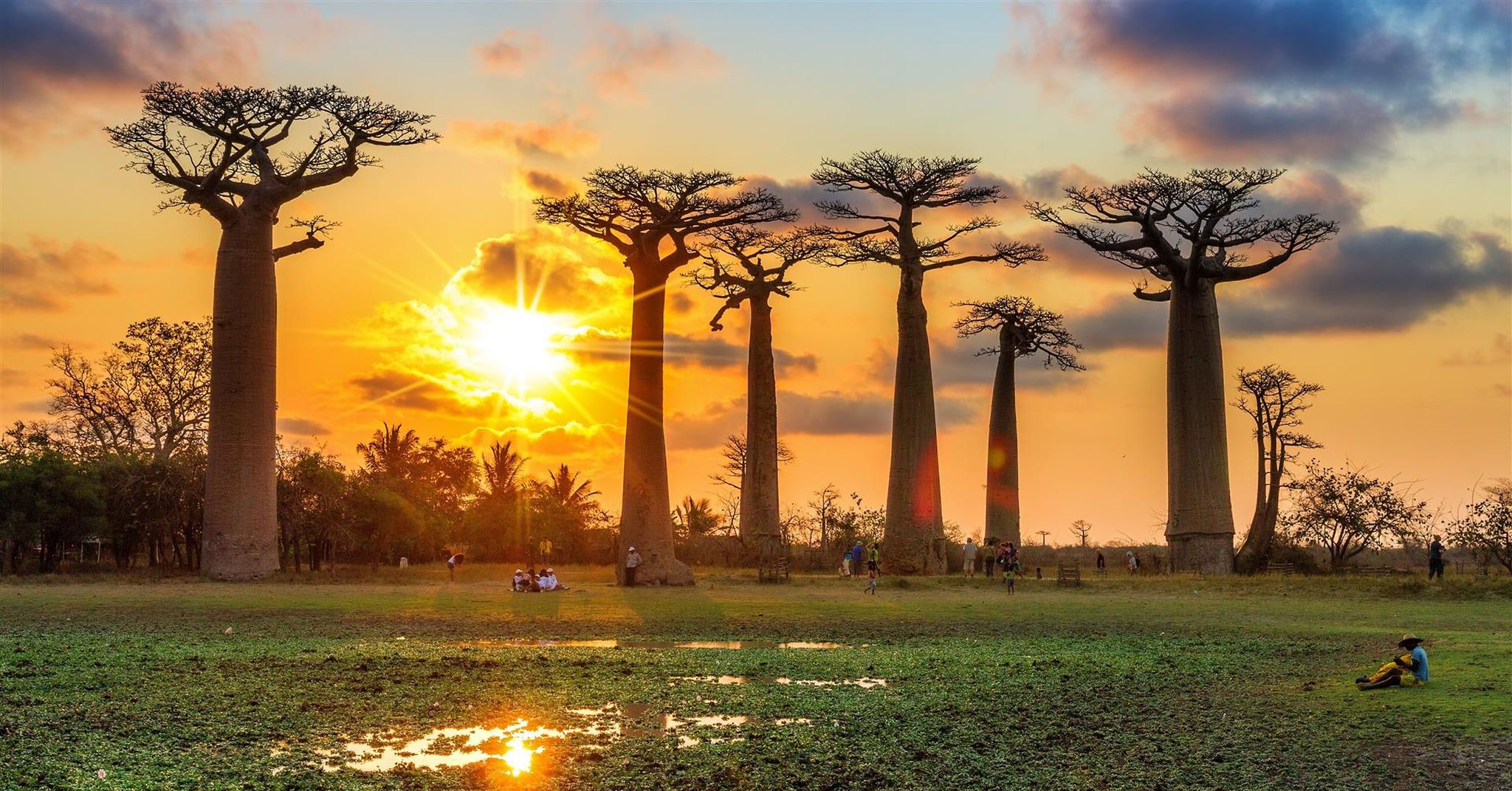 5 Reasons Why You Should Make Madagascar Your Next Holiday