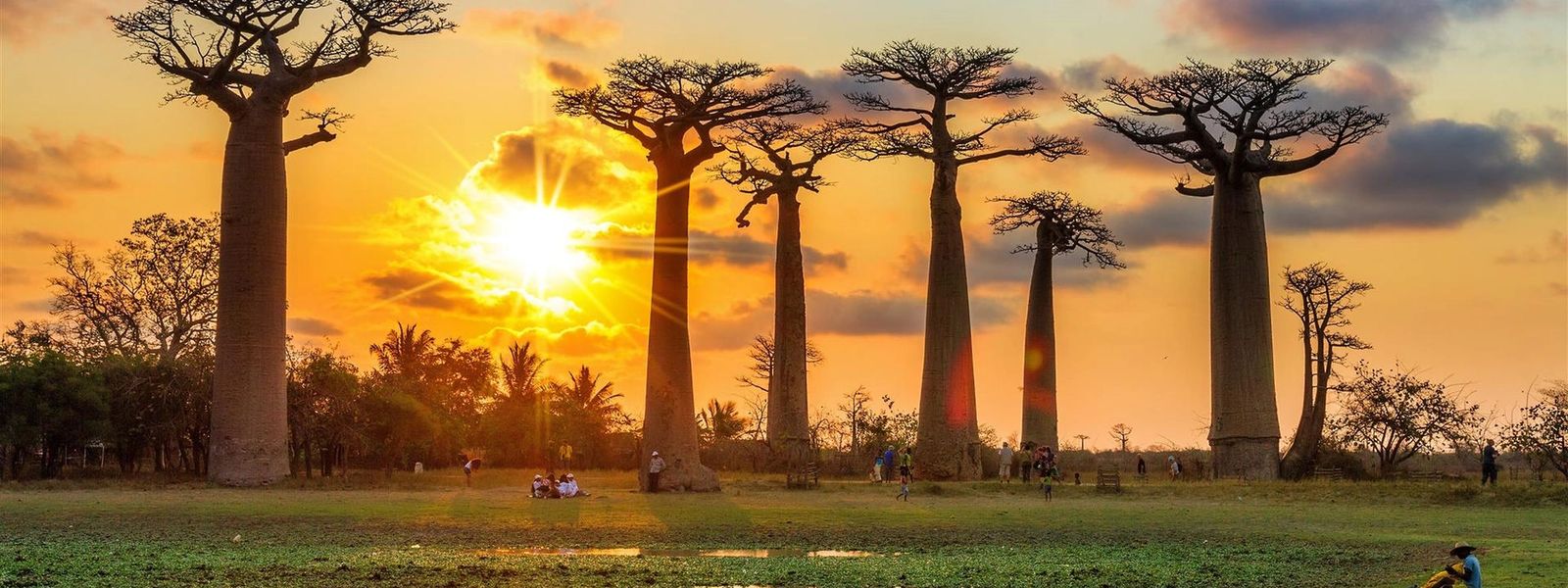 5 Reasons Why You Should Make Madagascar Your Next Holiday