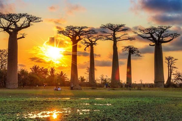 5 Reasons Why You Should Make Madagascar Your Next Holiday