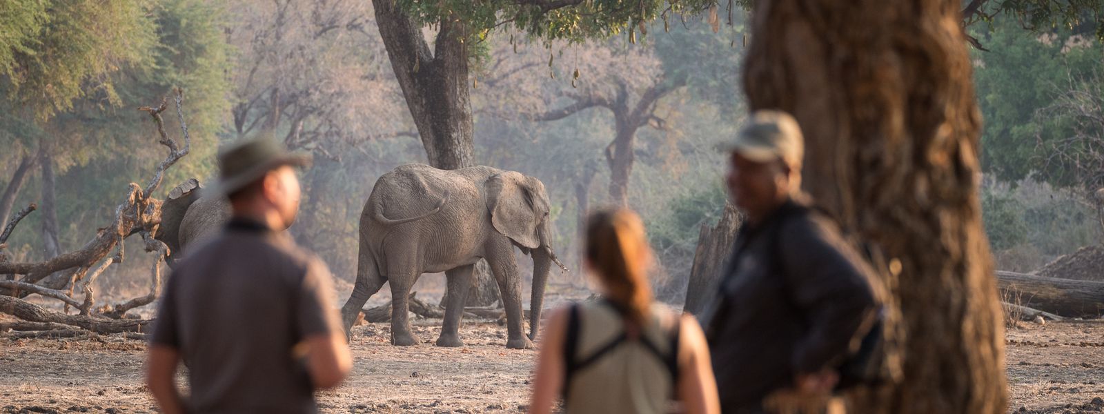 Where to Go on Safari in August: Best African Destinations