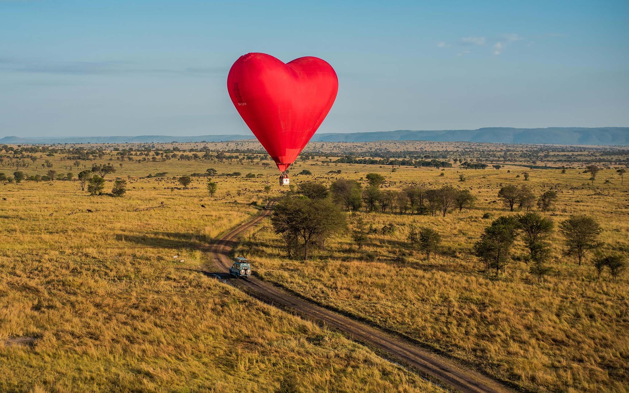 El Serengeti en Imágenes